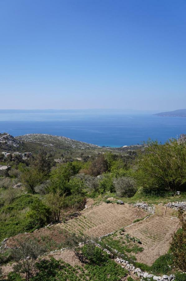 Marina - Holiday Home With Sea View Makarska Dış mekan fotoğraf