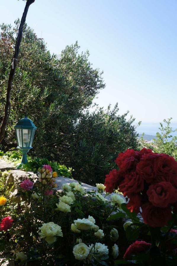 Marina - Holiday Home With Sea View Makarska Dış mekan fotoğraf